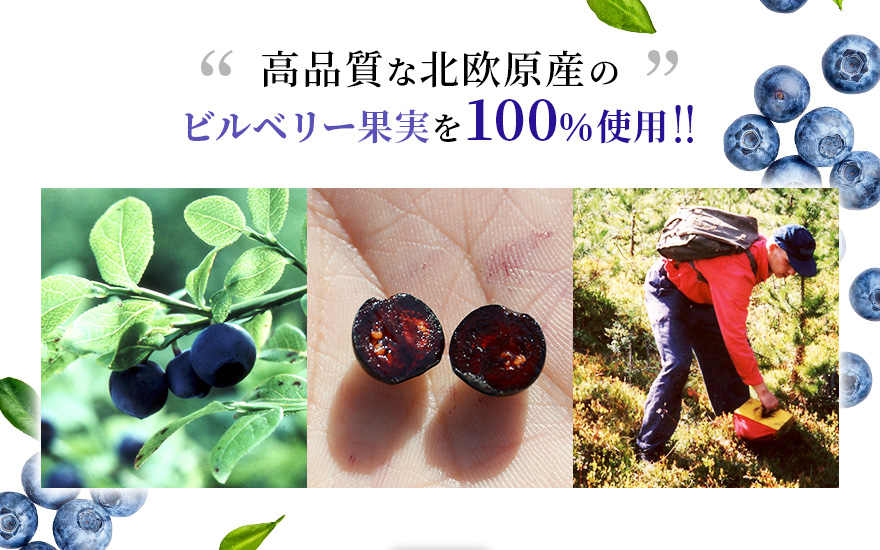 高品質な北欧原産のビルベリー果実を100％使用!!