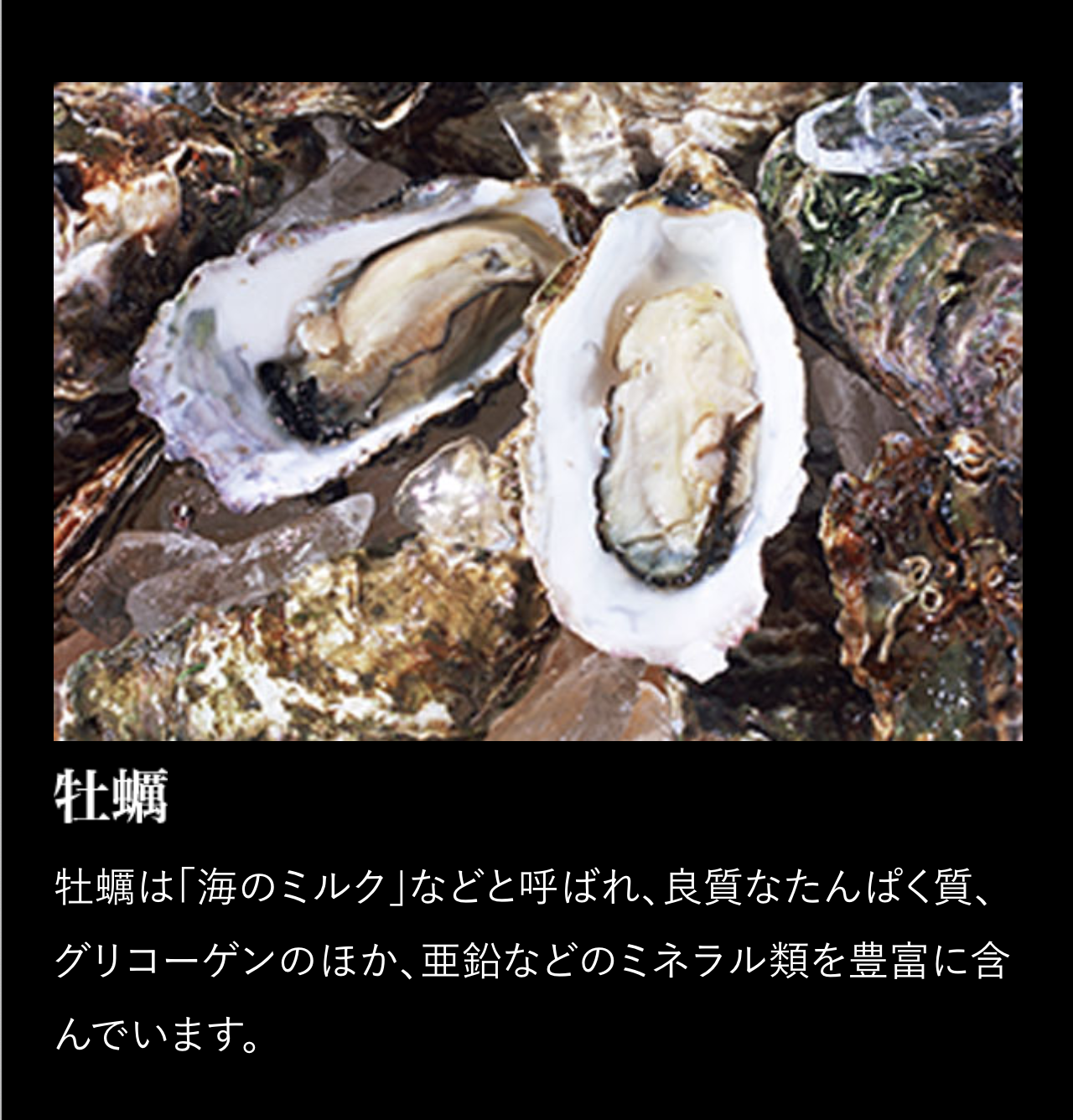 「マカ皇帝倫sixteen」牡蠣 牡蠣は「海のミルク」などと呼ばれ、良質なたんぱく質、グリコーゲンのほか、亜鉛などのミネラル類を豊富に含んでいます。