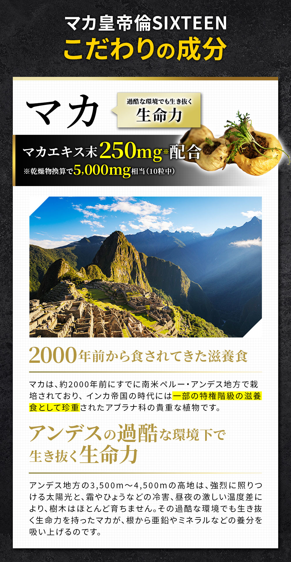 マカ皇帝倫SIXTEEN EC専売品