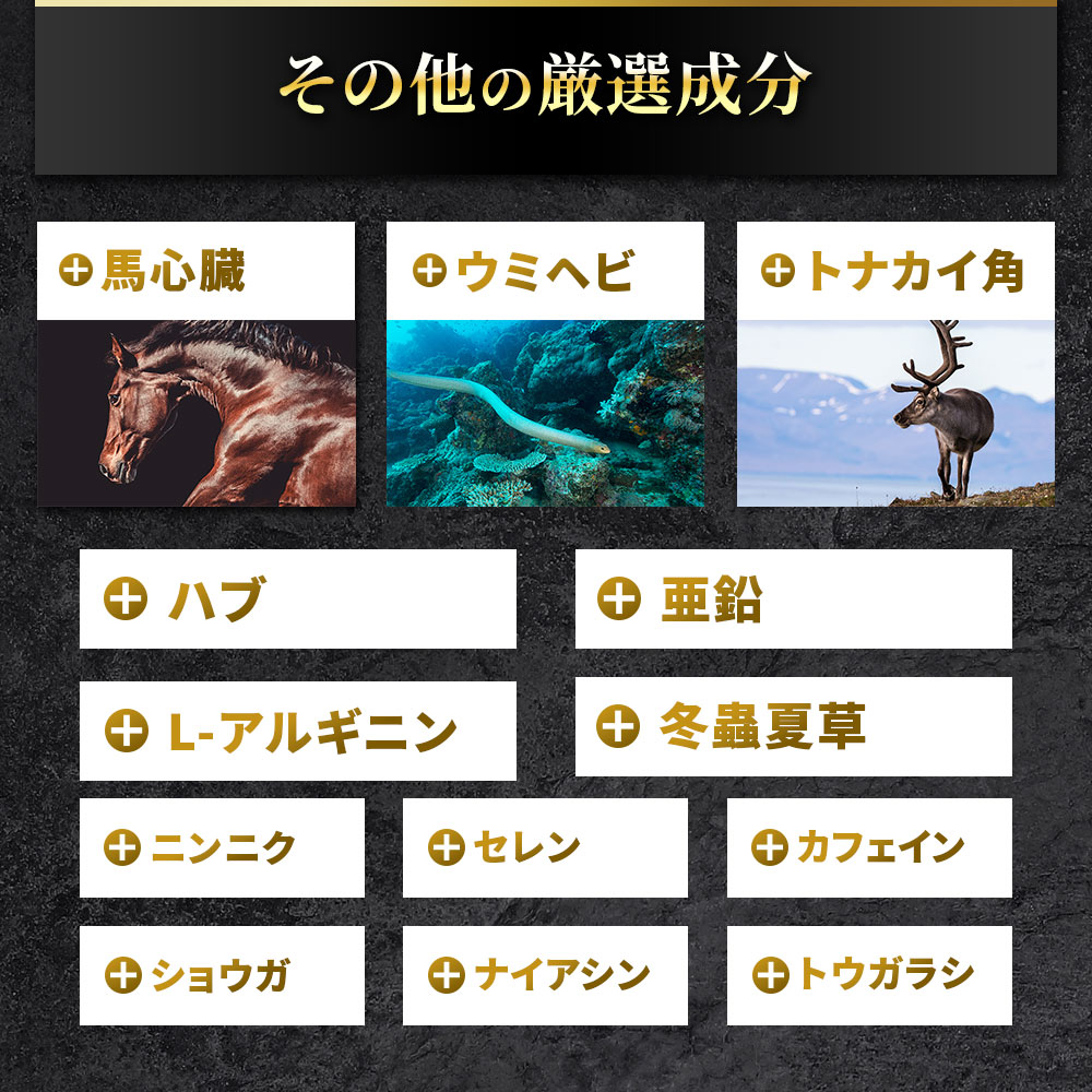 マカ皇帝倫SIXTEEN EC専売品