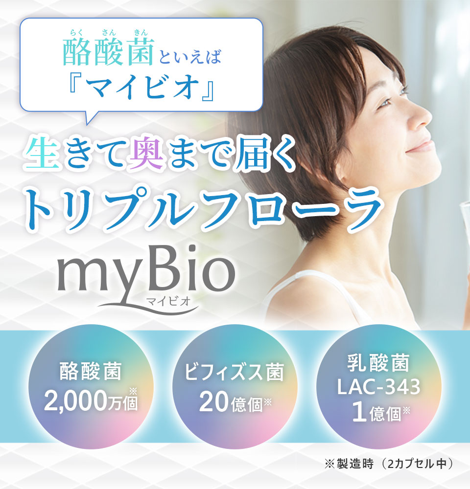 ザ・ブライトワン （15日分）
