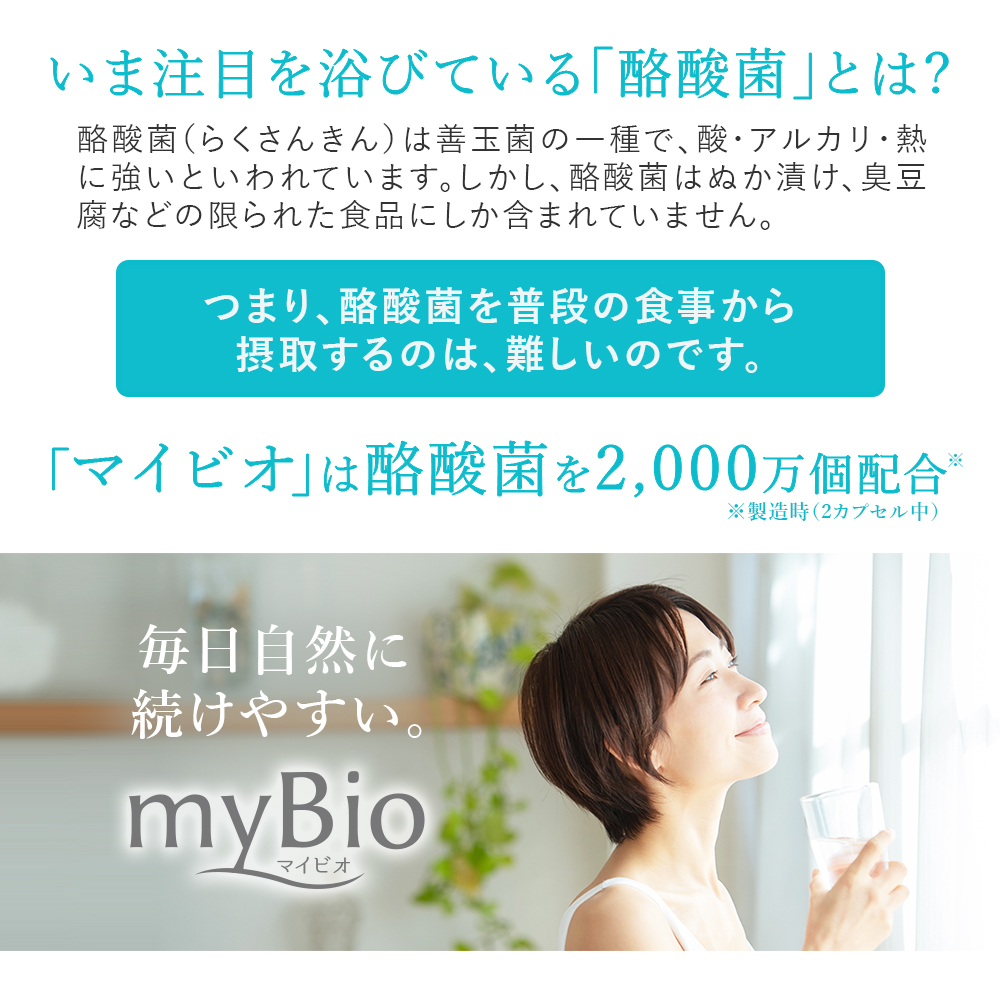 ザ・ブライトワン (15日分)