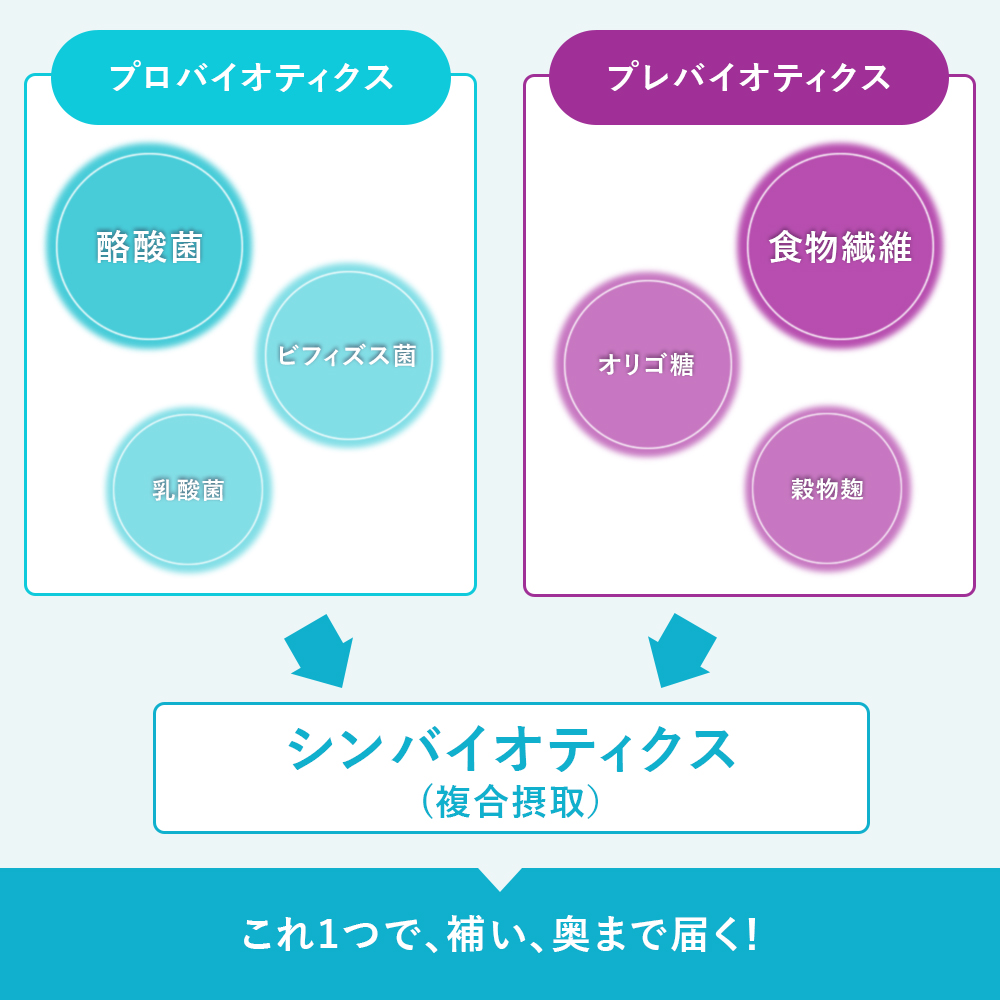 ザ・ブライトワン (15日分)