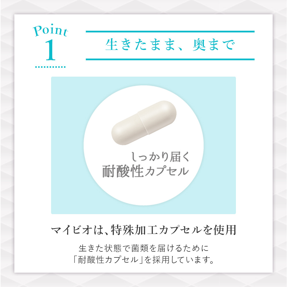 ザ・ブライトワン (15日分)