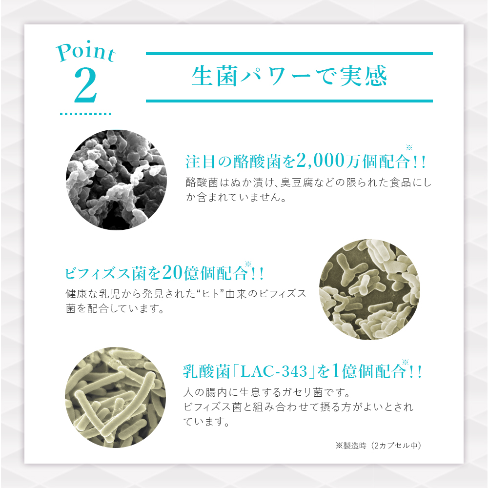 ザ・ブライトワン (15日分)