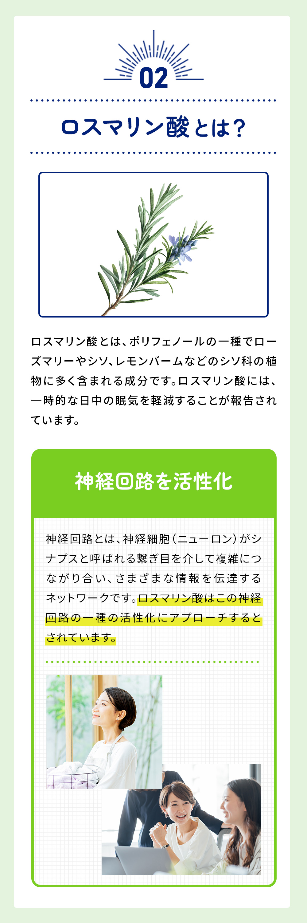 眠りま専科 （14日分）