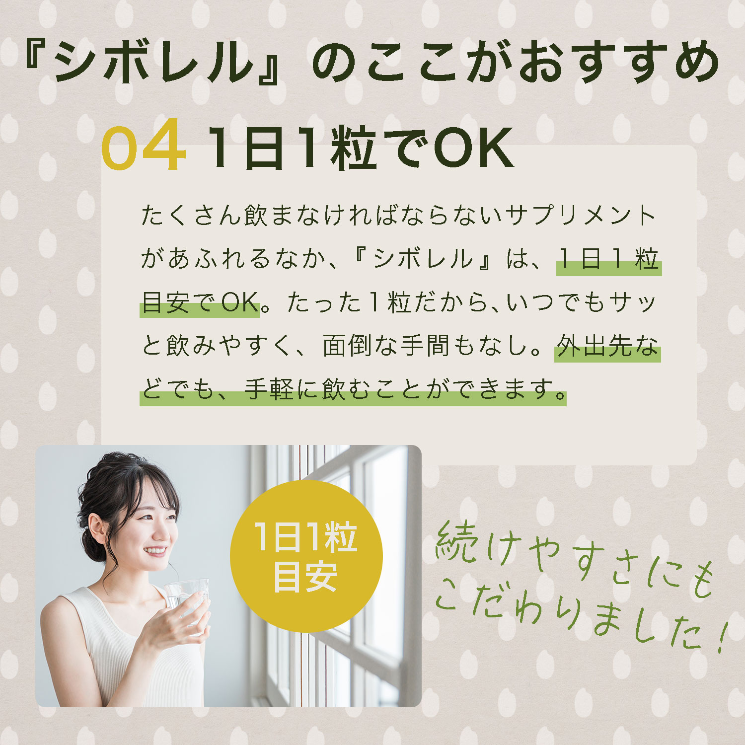 シボレル10日分