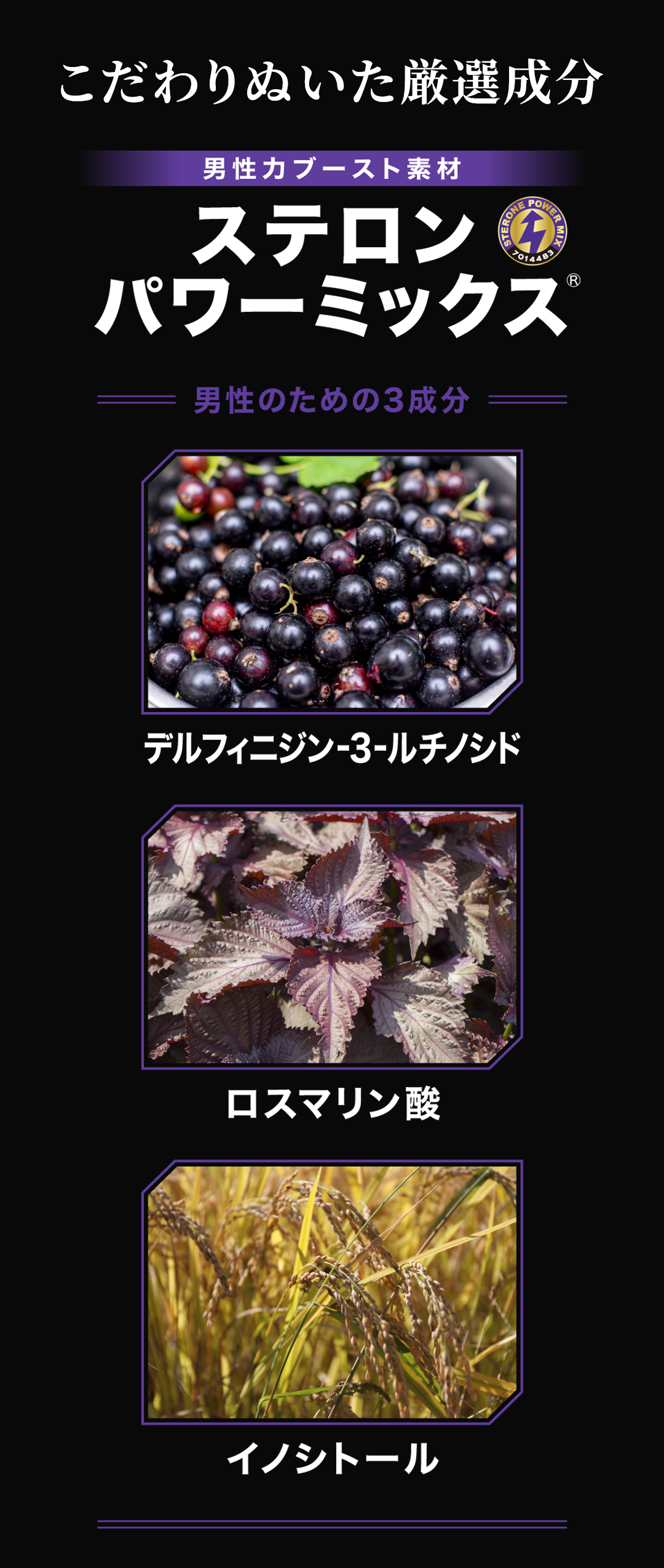 テスロン パワーブレイド