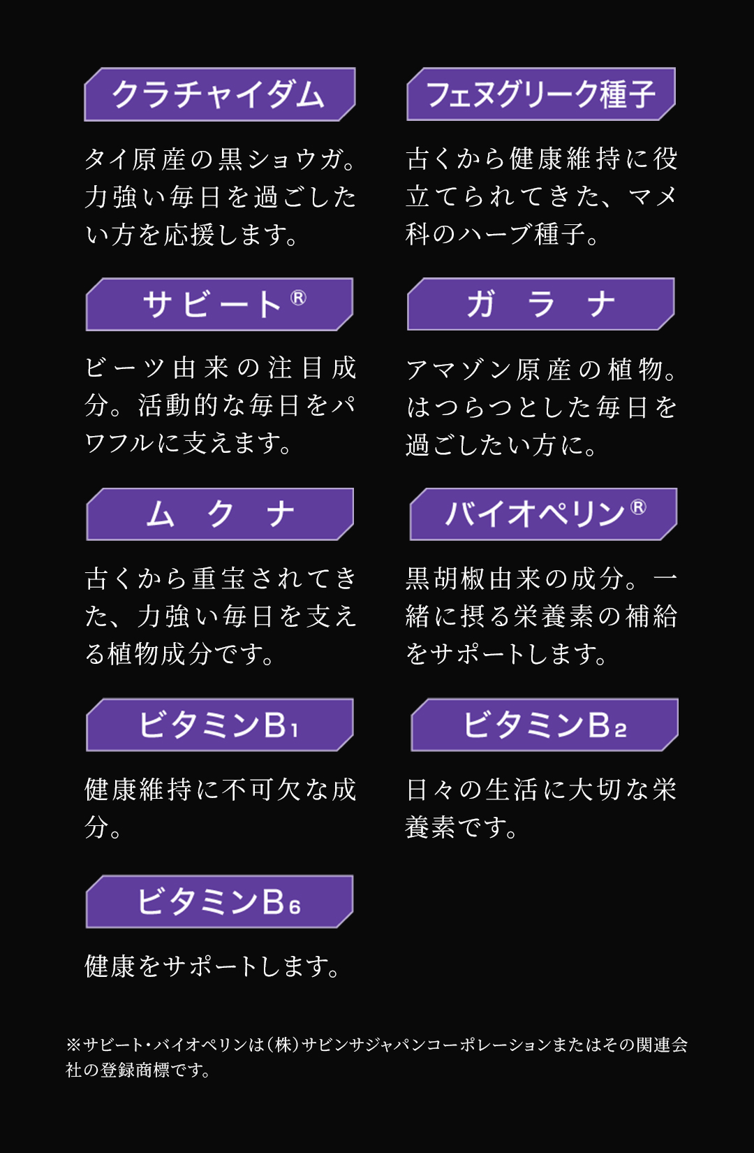 テスロン パワーブレイド