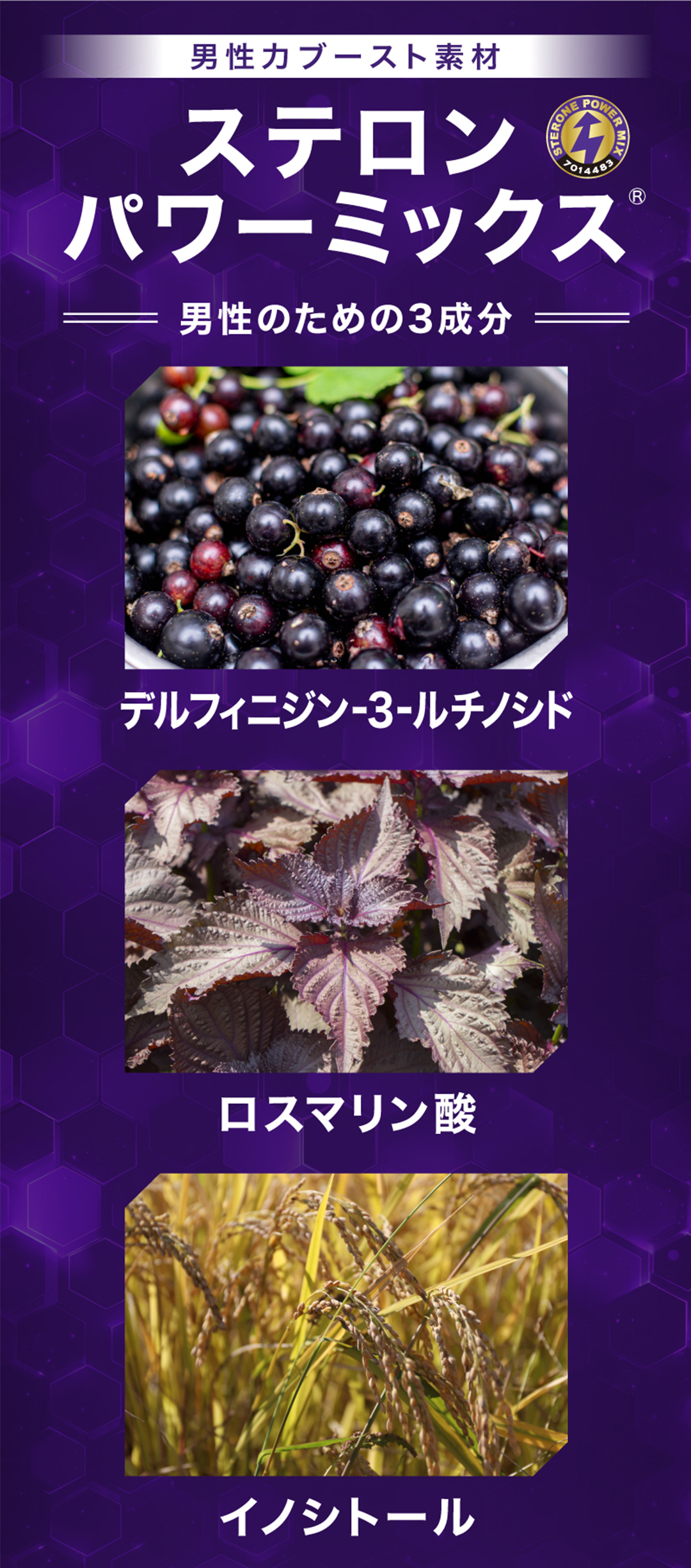 テスロン パワーブレイドドリンク