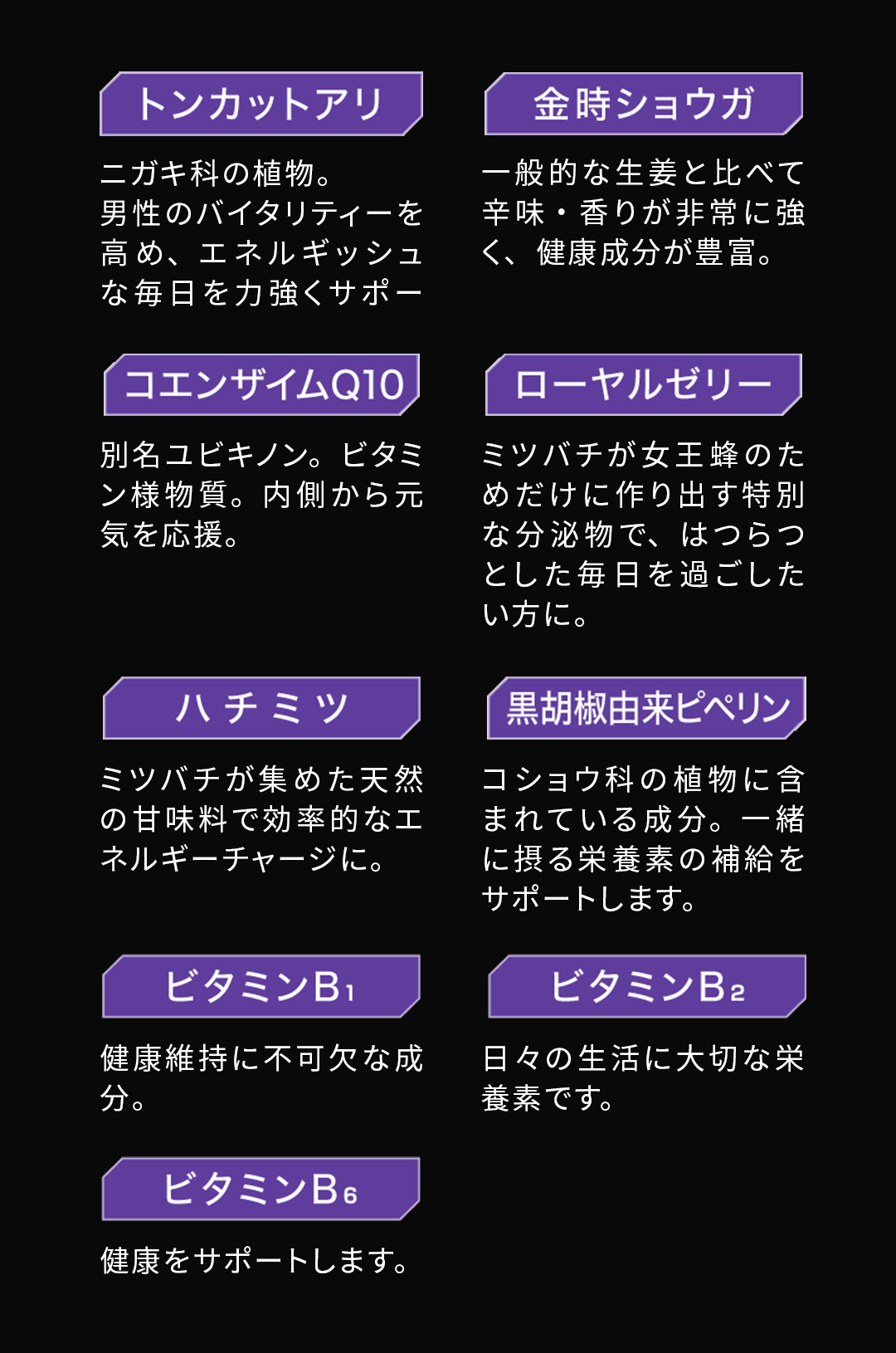 テスロン パワーブレイドドリンク