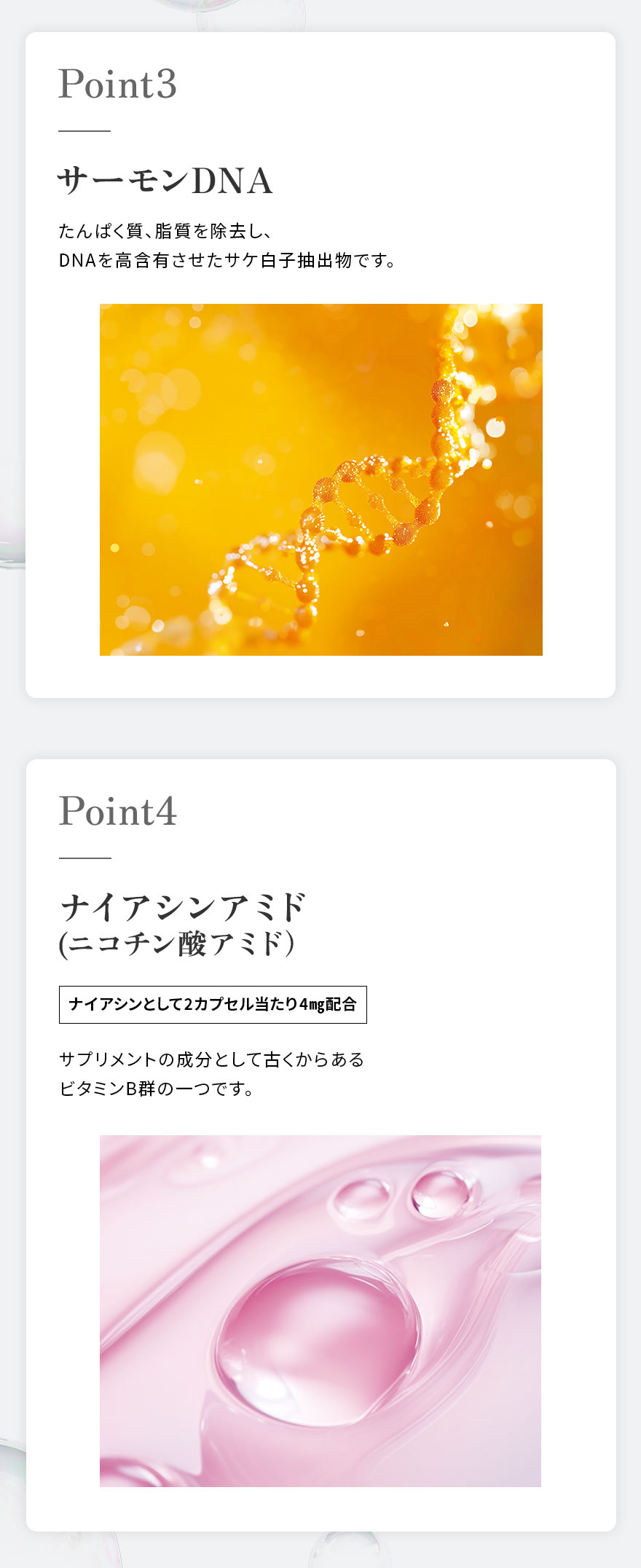 ザ・リフトワン（31日分）