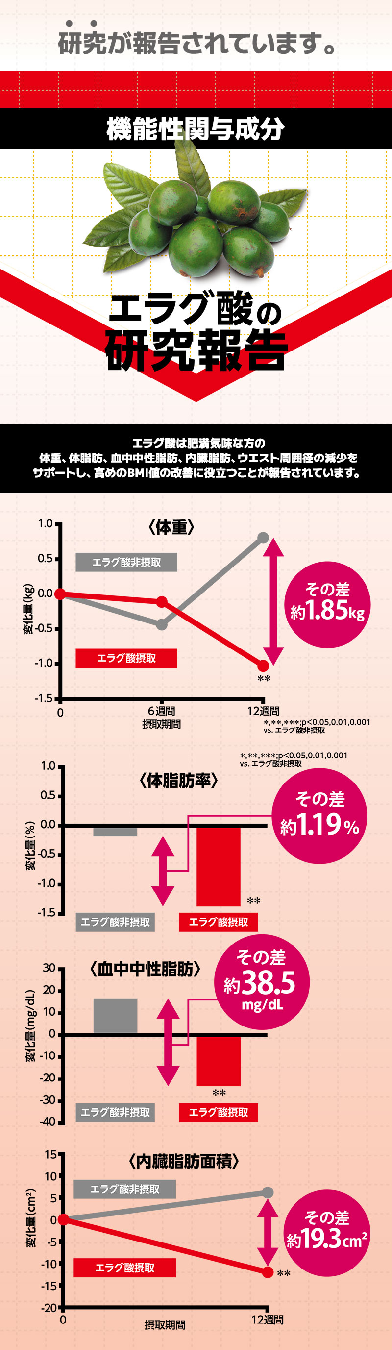 高めのBMI値の改善に役立つ 機能性表示食品「メタプラス ウエスト」