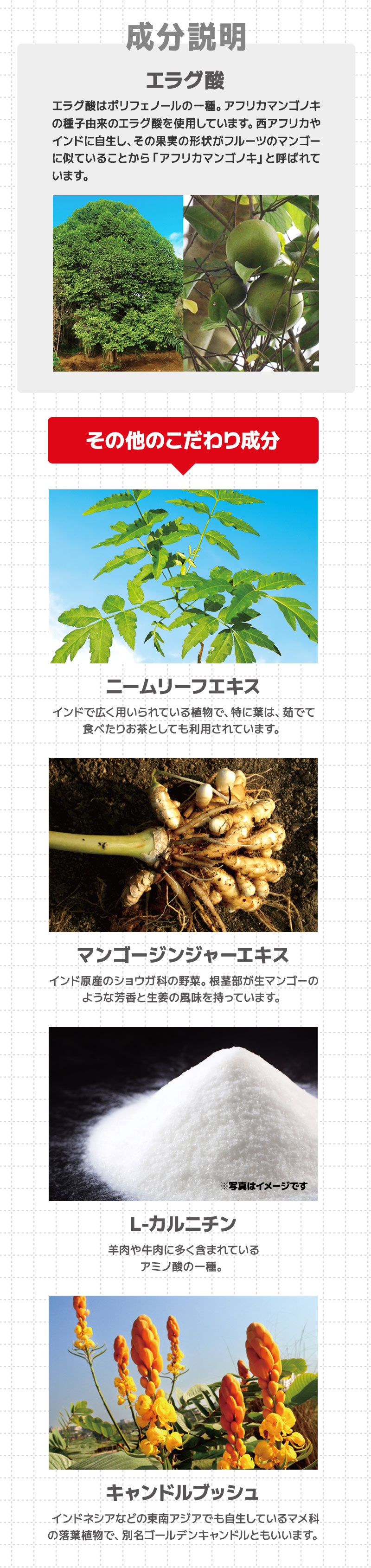 高めのBMI値の改善に役立つ 機能性表示食品「メタプラス ウエスト」