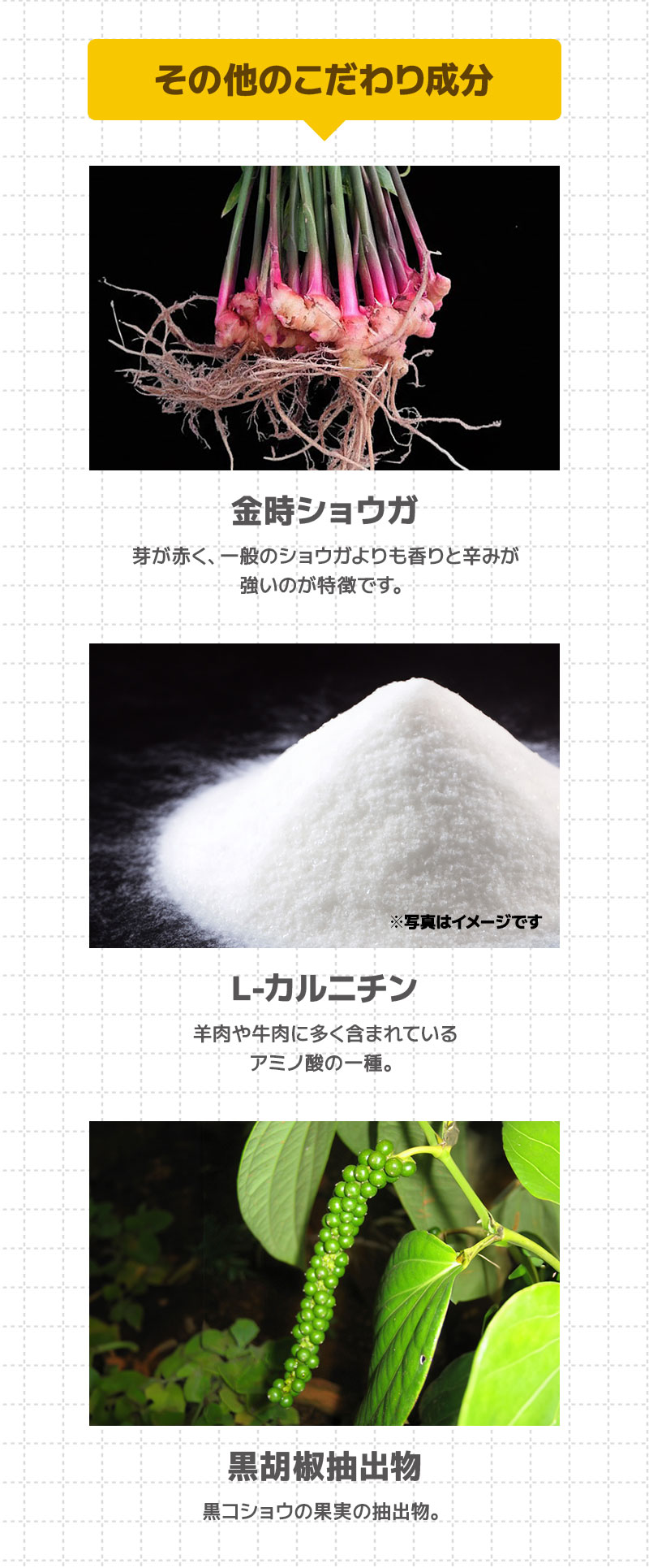 おなかの脂肪を減らす機能性表示食品「メタプラス ウエスト」